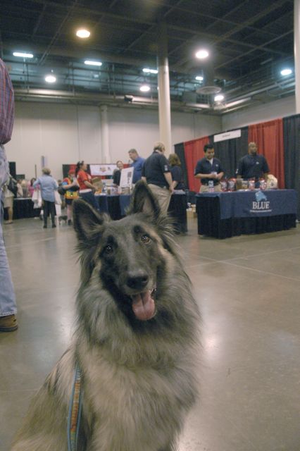 f0227709_9205065.jpg