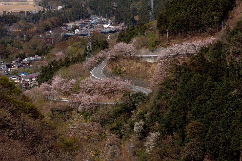 桜は盛りを過ぎて煙も無く… - 2011年春・秩父 -_b0190710_2328145.jpg