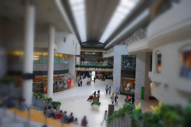 f0054610_17365595.jpg