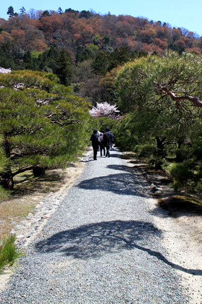 宮廷の庭 修学院離宮_e0048413_23242286.jpg