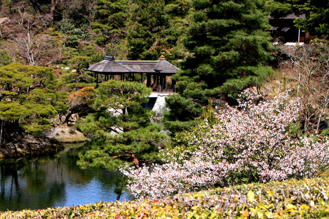 宮廷の庭 修学院離宮_e0048413_2324484.jpg