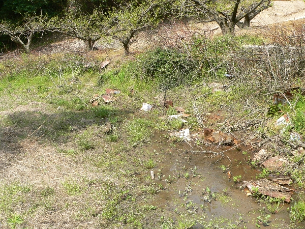 e0002314_2041613.jpg
