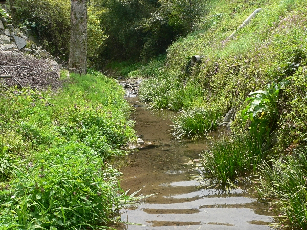 e0002314_20454548.jpg
