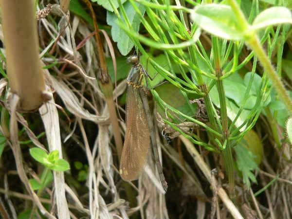e0002314_20474131.jpg