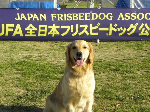 今年最初のフリスビー競技会_e0204314_1725088.jpg