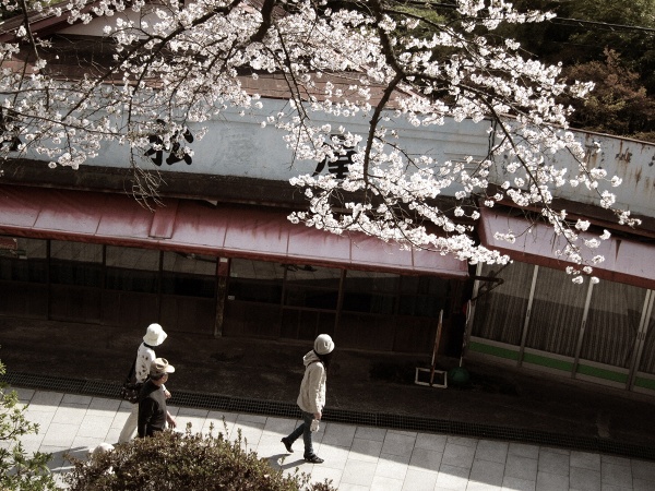 ’11春　桜の季節　　～上州の桜～_c0055515_23373251.jpg