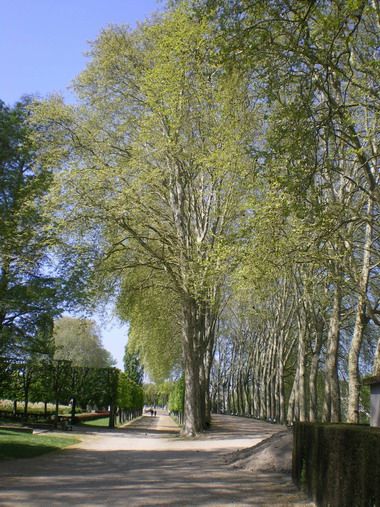 c0124619_2352521.jpg