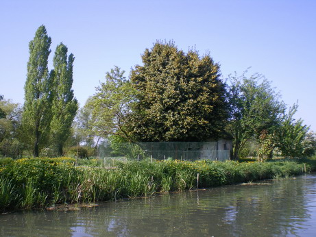 c0124619_32621.jpg