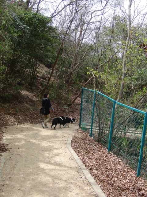 e0179321_2031330.jpg