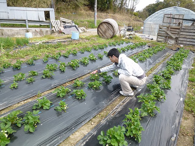 f0142721_111146.jpg