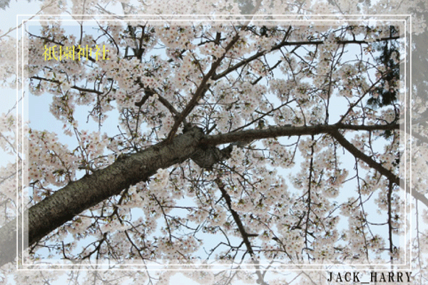 b0122522_1327353.gif