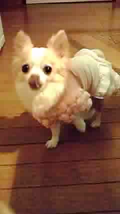 c0149622_23462956.jpg