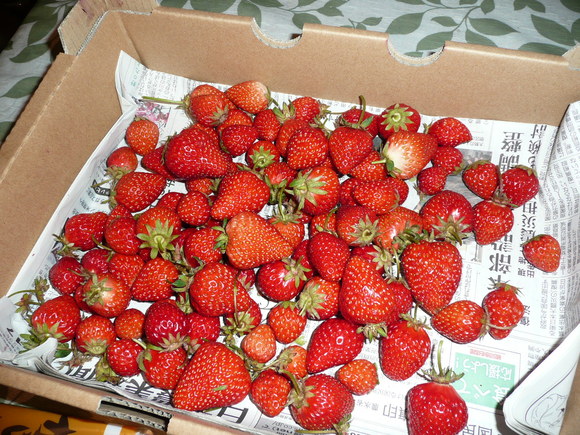 c0009528_23171616.jpg
