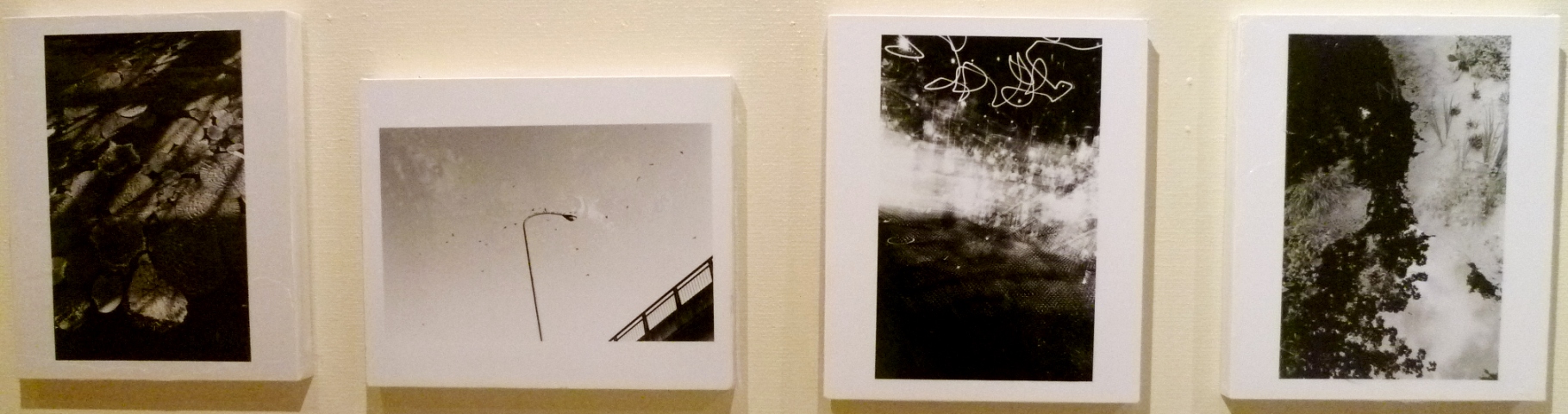 1501) 終了①「北海学園大学Ⅱ部写真部・卒業写真展」・アイボリー　3月8日（月）～3月13日（土）  _f0126829_13162063.jpg