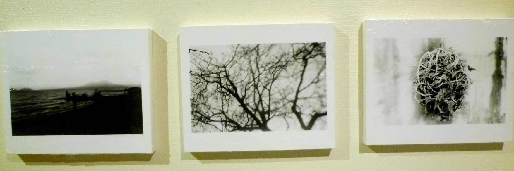 1501) 終了①「北海学園大学Ⅱ部写真部・卒業写真展」・アイボリー　3月8日（月）～3月13日（土）  _f0126829_1317067.jpg