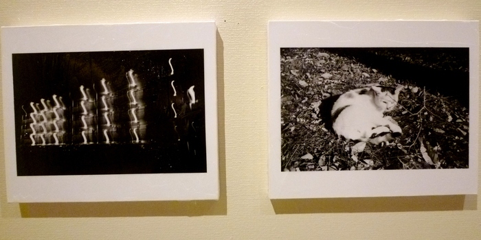 1501) 終了①「北海学園大学Ⅱ部写真部・卒業写真展」・アイボリー　3月8日（月）～3月13日（土）  _f0126829_1364079.jpg