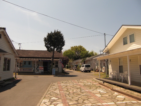 a0190132_22195280.jpg