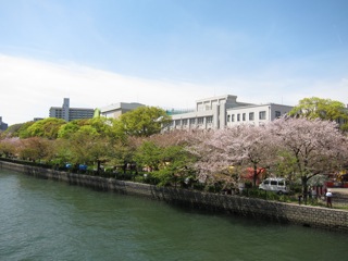 桜 さくら_d0010432_16444817.jpg