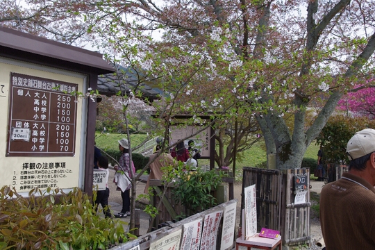 c0113733_23113723.jpg