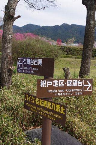 c0113733_23131266.jpg