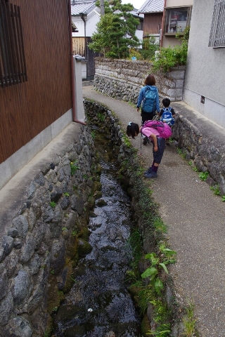 c0113733_23143829.jpg