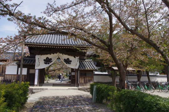 c0113733_2352194.jpg
