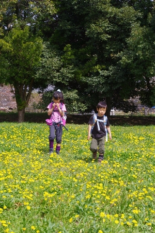 c0113733_238434.jpg
