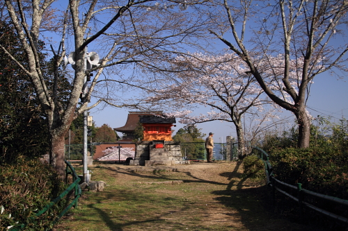 吉野2011　その１　如意輪寺、東南院、蔵王堂_c0119036_23422480.jpg