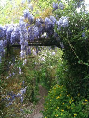 フランスの春の花_c0170236_2012653.jpg