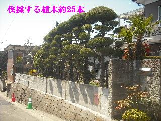 見積もり・相談・準備万端・・_f0031037_16481129.jpg