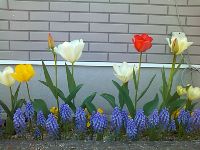 f0149538_2050543.jpg
