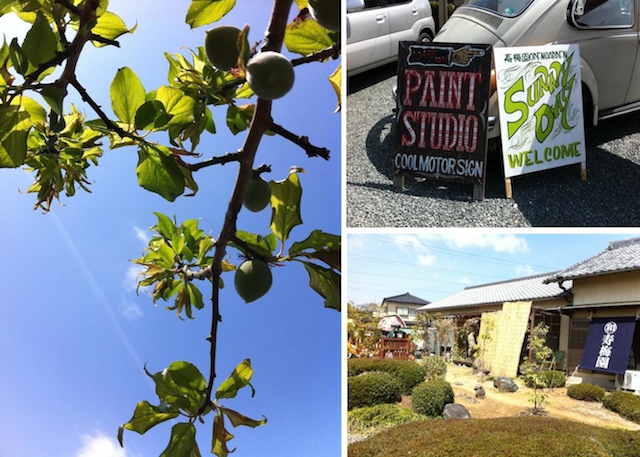 SUNNYDAY2_f0073343_12491972.jpg