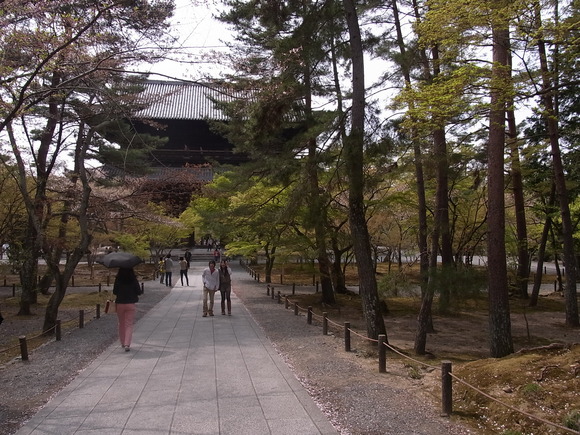 桜の散りかけた京都_c0141046_1019546.jpg