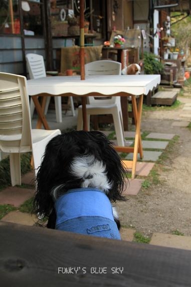 c0145250_1704545.jpg