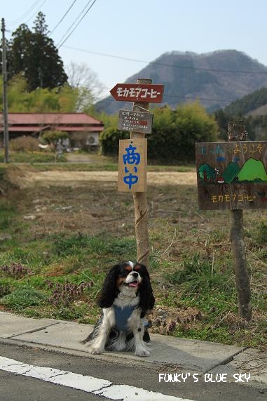 c0145250_17132911.jpg