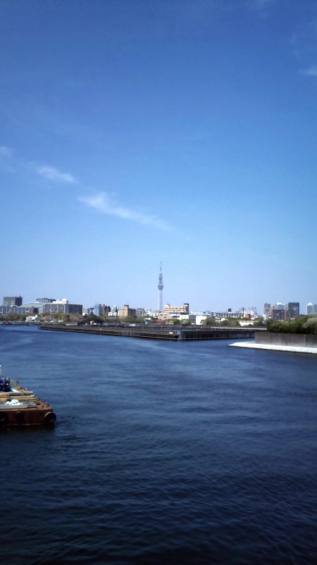 c0212450_1750086.jpg