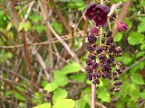 d0048350_21491514.jpg