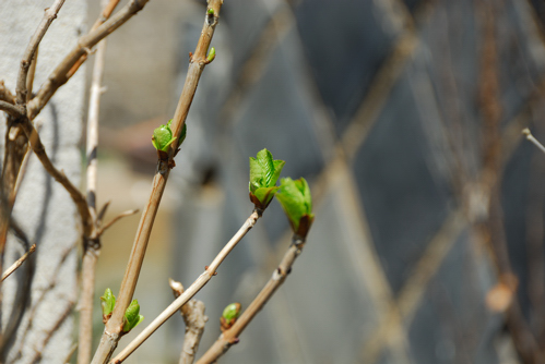 a0073962_201440.jpg
