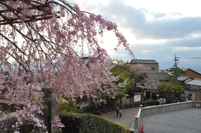 清水の枝垂桜。_e0125762_23101845.jpg