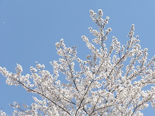 e0170863_2115917.jpg