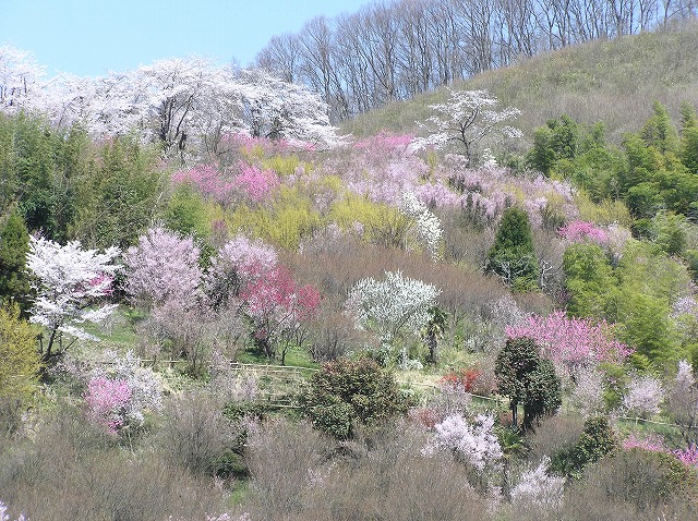 e0170863_2122152.jpg