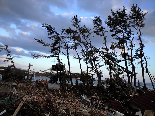 昨日、被災地の気仙沼へ行って来ました(長いです)_d0108569_23514796.jpg