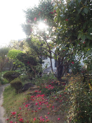 d0163670_8222049.jpg