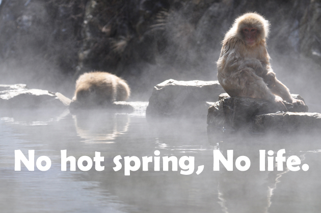 No hot spring,No life_e0171573_13164440.jpg
