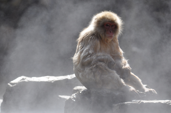 No hot spring,No life_e0171573_1317659.jpg