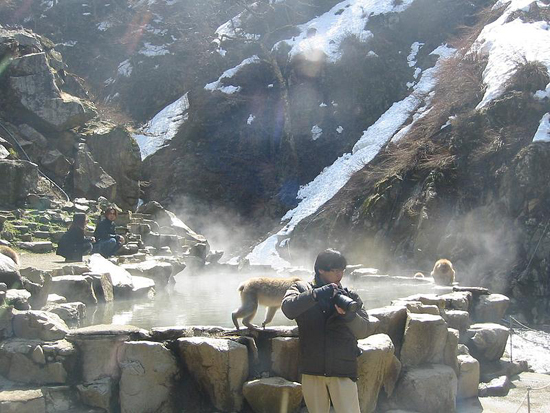 No hot spring,No life_e0171573_1318153.jpg