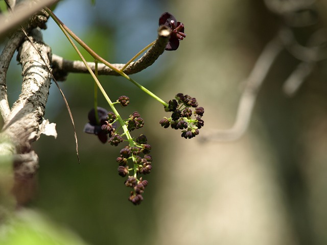 d0054276_18521541.jpg
