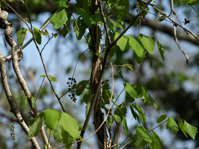 d0054276_18531356.jpg