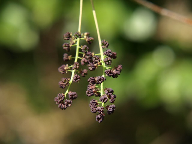 d0054276_1853174.jpg