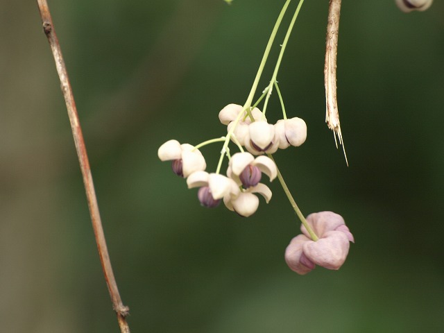 d0054276_18533742.jpg